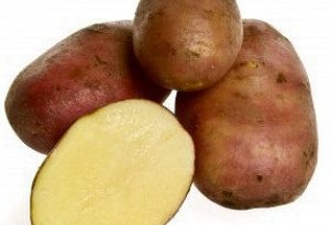 Quali patate scegliere per farle al forno