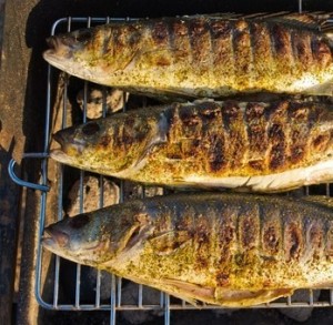 pesci adatti per barbecue griglia