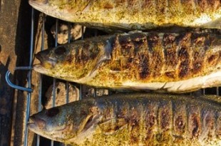 pesci adatti per barbecue griglia