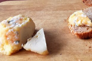 formaggio senza caglio
