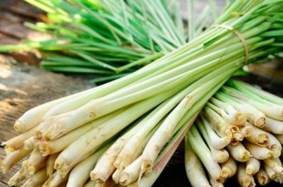 ingredienti alternativi lemongrass